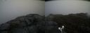 ./images/calvert/buxton2/20190422/buxton220190422_152957M.jpg