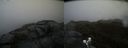 ./images/calvert/buxton2/20190422/buxton220190422_154457M.jpg