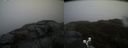 ./images/calvert/buxton2/20190422/buxton220190422_161457M.jpg