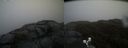 ./images/calvert/buxton2/20190422/buxton220190422_162457M.jpg