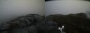 ./images/calvert/buxton2/20190422/buxton220190422_162957M.jpg