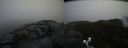 ./images/calvert/buxton2/20190422/buxton220190422_163457M.jpg