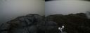 ./images/calvert/buxton2/20190422/buxton220190422_163957M.jpg