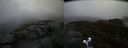 ./images/calvert/buxton2/20190422/buxton220190422_171457M.jpg