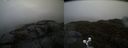 ./images/calvert/buxton2/20190422/buxton220190422_171957M.jpg