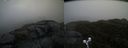 ./images/calvert/buxton2/20190422/buxton220190422_184957M.jpg