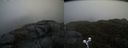 ./images/calvert/buxton2/20190422/buxton220190422_185456M.jpg