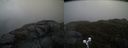 ./images/calvert/buxton2/20190422/buxton220190422_190457M.jpg