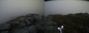 ./images/calvert/buxton2/20190422/buxton220190422_191957M.jpg