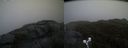 ./images/calvert/buxton2/20190422/buxton220190422_195457M.jpg
