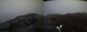 ./images/calvert/buxton2/20190422/buxton220190422_203456M.jpg