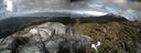 ./images/calvert/buxton2/20190423/buxton220190423_180457M.jpg