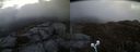 ./images/calvert/buxton2/20190423/buxton220190423_203957M.jpg