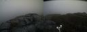 ./images/calvert/buxton2/20190426/buxton220190426_070957M.jpg