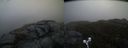 ./images/calvert/buxton2/20190426/buxton220190426_071957M.jpg
