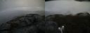 ./images/calvert/buxton2/20190426/buxton220190426_123457M.jpg