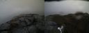 ./images/calvert/buxton2/20190426/buxton220190426_124457M.jpg