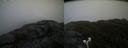 ./images/calvert/buxton2/20190426/buxton220190426_133957M.jpg