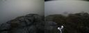 ./images/calvert/buxton2/20190426/buxton220190426_134957M.jpg