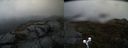 ./images/calvert/buxton2/20190426/buxton220190426_141957M.jpg