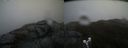 ./images/calvert/buxton2/20190426/buxton220190426_143457M.jpg