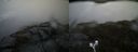 ./images/calvert/buxton2/20190426/buxton220190426_144456M.jpg