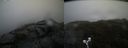 ./images/calvert/buxton2/20190426/buxton220190426_144956M.jpg