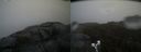 ./images/calvert/buxton2/20190426/buxton220190426_154457M.jpg