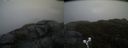 ./images/calvert/buxton2/20190426/buxton220190426_160456M.jpg