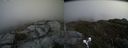 ./images/calvert/buxton2/20190501/buxton220190501_142456M.jpg