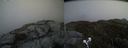 ./images/calvert/buxton2/20190501/buxton220190501_145456M.jpg