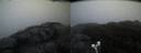 ./images/calvert/buxton2/20190502/buxton220190502_054456M.jpg