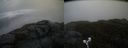 ./images/calvert/buxton2/20190502/buxton220190502_071956M.jpg