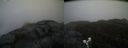 ./images/calvert/buxton2/20190502/buxton220190502_081456M.jpg