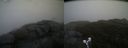 ./images/calvert/buxton2/20190502/buxton220190502_083456M.jpg