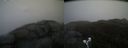 ./images/calvert/buxton2/20190502/buxton220190502_084456M.jpg