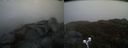 ./images/calvert/buxton2/20190502/buxton220190502_094956M.jpg