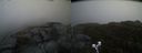 ./images/calvert/buxton2/20190502/buxton220190502_111456M.jpg