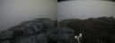 ./images/calvert/buxton2/20190502/buxton220190502_200456M.jpg