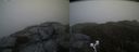 ./images/calvert/buxton2/20190502/buxton220190502_203456M.jpg