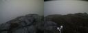 ./images/calvert/buxton2/20190502/buxton220190502_203956M.jpg