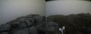 ./images/calvert/buxton2/20190503/buxton220190503_085456M.jpg