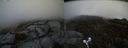 ./images/calvert/buxton2/20190503/buxton220190503_122956M.jpg