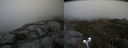 ./images/calvert/buxton2/20190503/buxton220190503_125456M.jpg