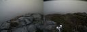 ./images/calvert/buxton2/20190503/buxton220190503_130956M.jpg