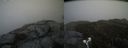./images/calvert/buxton2/20190503/buxton220190503_142956M.jpg
