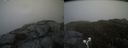./images/calvert/buxton2/20190503/buxton220190503_143956M.jpg