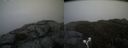 ./images/calvert/buxton2/20190503/buxton220190503_144456M.jpg