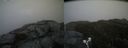./images/calvert/buxton2/20190503/buxton220190503_150456M.jpg