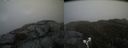 ./images/calvert/buxton2/20190503/buxton220190503_153456M.jpg